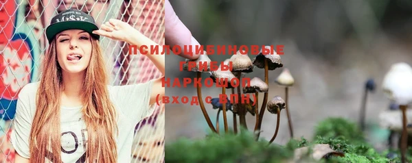 mdpv Верхний Тагил