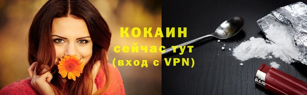 прущий лед Верея