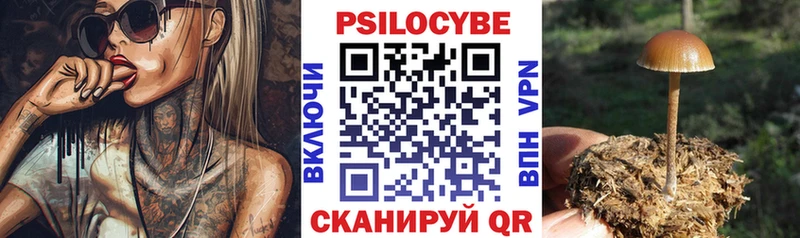 Псилоцибиновые грибы GOLDEN TEACHER  Мытищи 